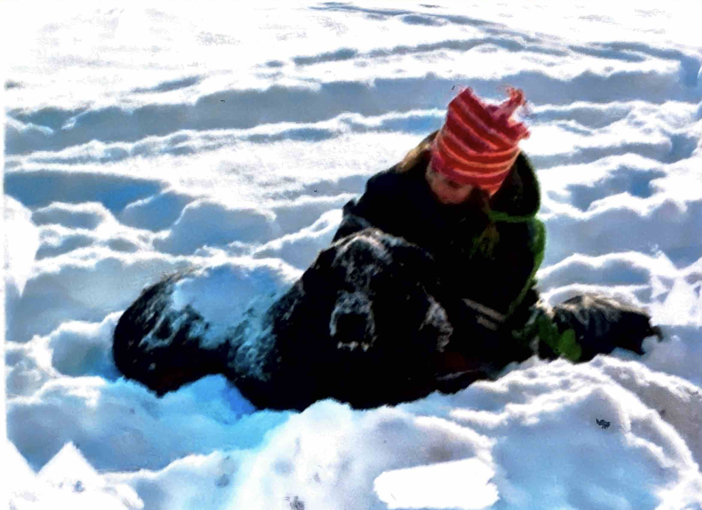Hunde fühlen sich besser nach einer Physiotherapie mit Sophia Soller.